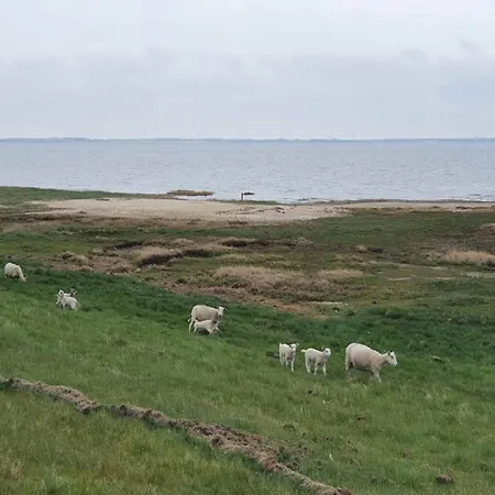 דירה 4 Person In Romo-by Traum *