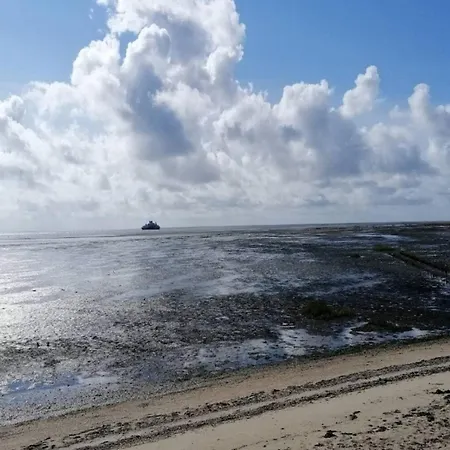 4 Person In Romo-by Traum