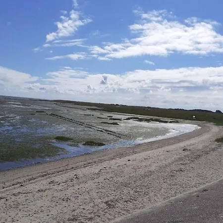 4 Person In Romo-by Traum *