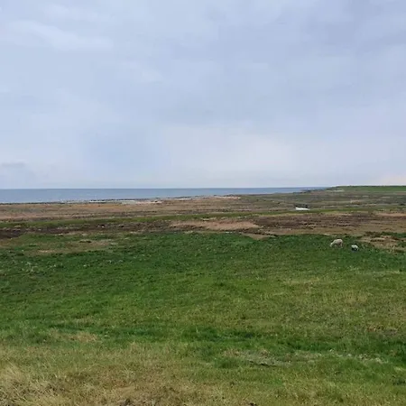 4 Person In Romo-by Traum * Sønderby